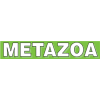 Metazoa