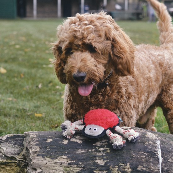 Beco Plush Toy Spin