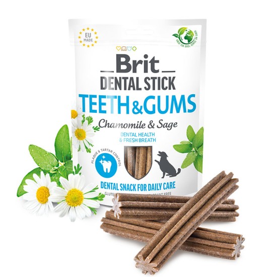 Brit Dental Stick Teeth & Gums