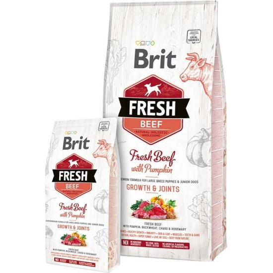 Brit Fresh Rund met Pompoen Puppy Large, 2,5 kg