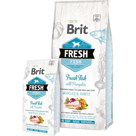 Brit Fresh Vis met Pompoen Adult Large, 2,5 kg