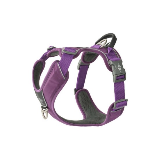 Dog Copenhagen Comfort Walk Pro Harness Purple Passion, XS