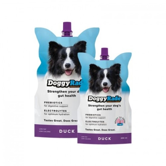 DoggyRade isotone drank met eend, 250 ml