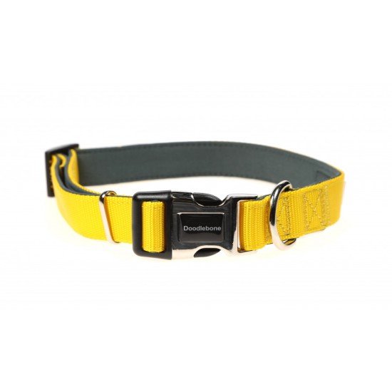 Doodlebone Padded Collar Sunshine, 1-2