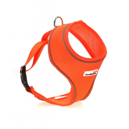 Doodlebone Airmesh Harness Tangerine, 1