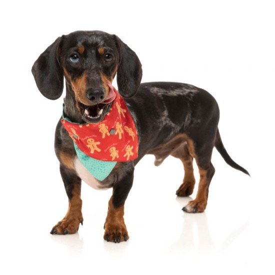 FuzzYard Xmas Accessoires Bandana Ginger, M/L