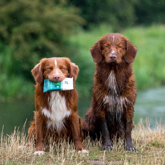 Hownd Yup You Stink! natte doekjes voor honden