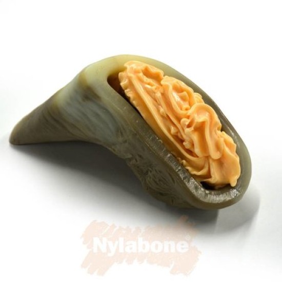 Nylabone Chew Hoof Bone