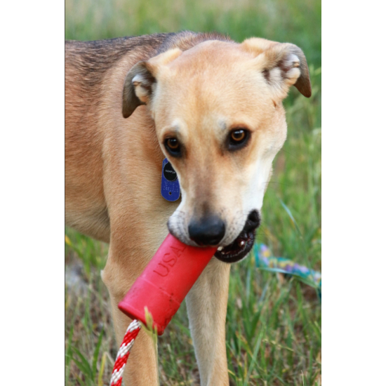 Sodapup Firecracker Training Dummy