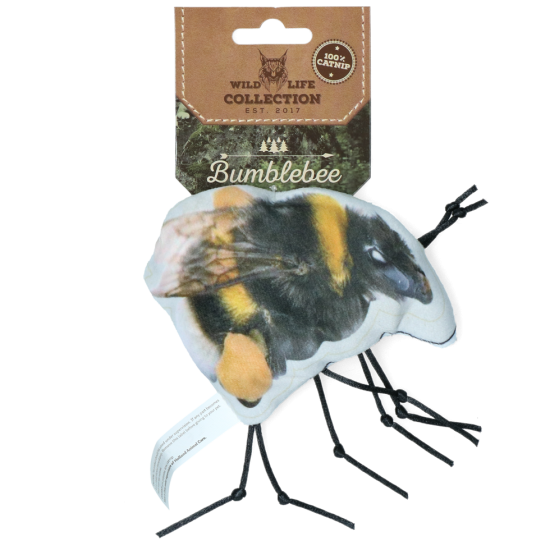 Wild Life Cat Hommel