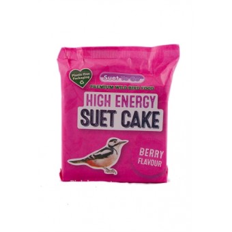 Suet to Go Vetblok Berry Feast